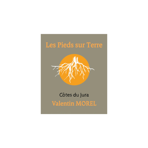 Logo-Les-Pieds-sur-Terre