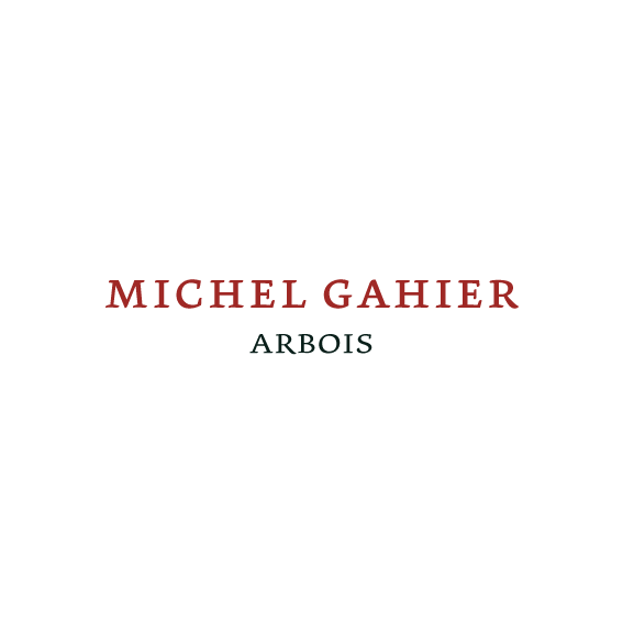 Logo-Michel-Gahier